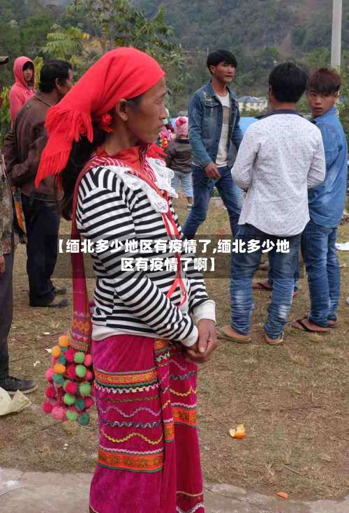 【缅北多少地区有疫情了,缅北多少地区有疫情了啊】-第3张图片