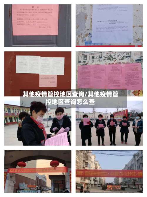 其他疫情管控地区查询/其他疫情管控地区查询怎么查-第3张图片