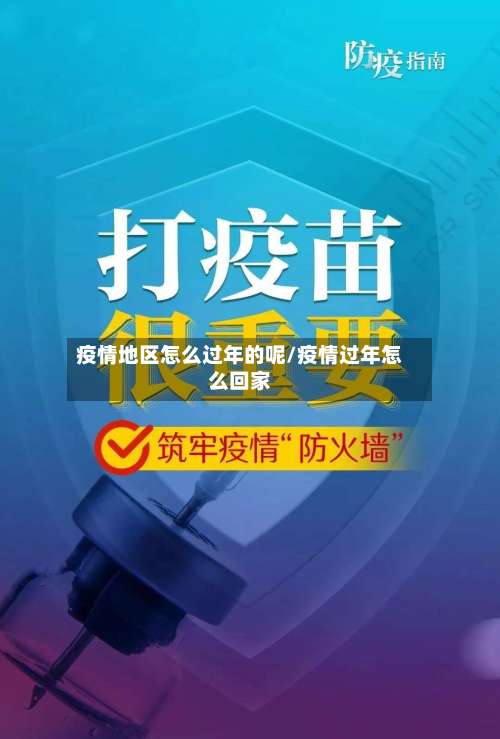 疫情地区怎么过年的呢/疫情过年怎么回家-第3张图片
