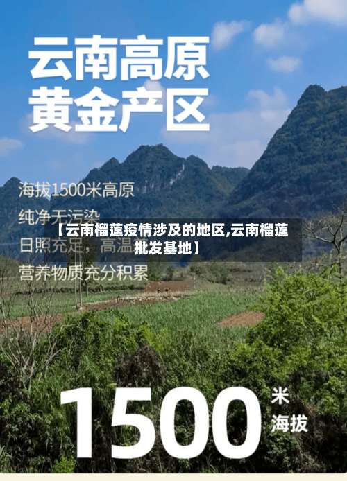 【云南榴莲疫情涉及的地区,云南榴莲批发基地】-第1张图片