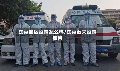 东莞地区疫情怎么样/东莞近来疫情如何-第1张图片