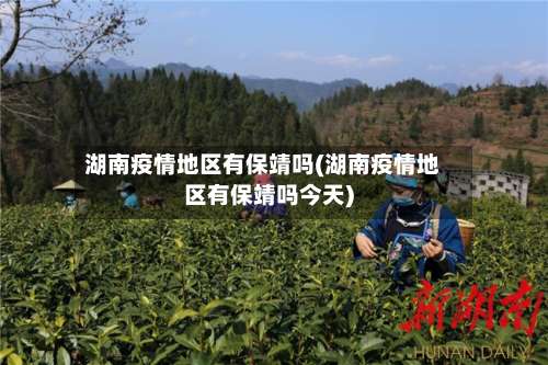 湖南疫情地区有保靖吗(湖南疫情地区有保靖吗今天)-第2张图片