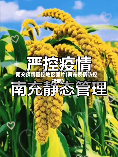 南充疫情管控地区图片(南充疫情防控措施)-第1张图片